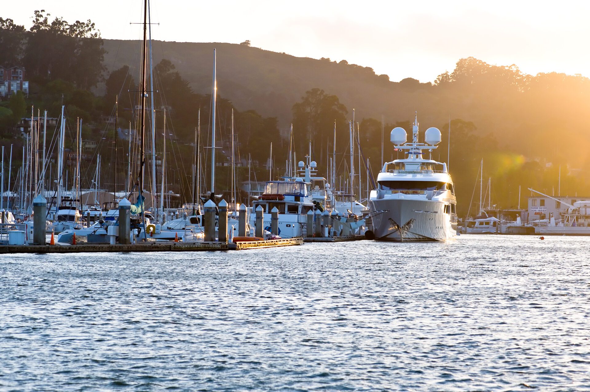 Schoonmaker Point Marina Yacht at Sunset Palm-lined walking path leading to Schoonmaker Point Marina beach in Sausalito